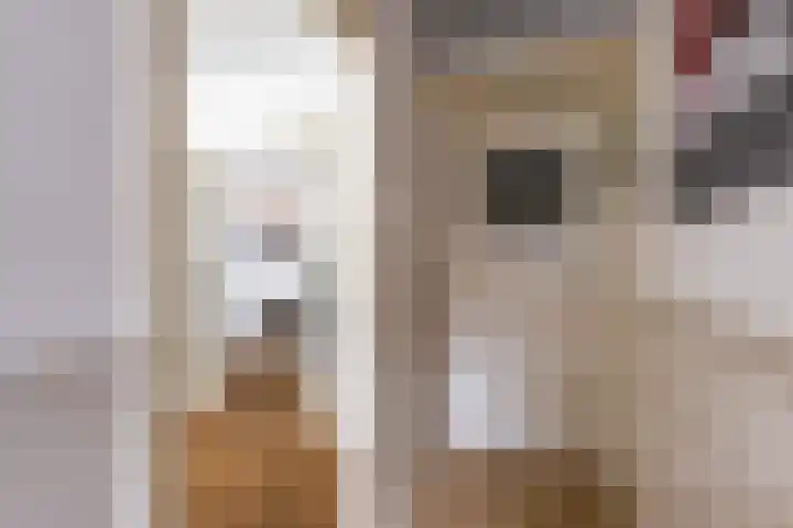 J. Baart de la Faillestraat 44 Groningen thumbnail 7