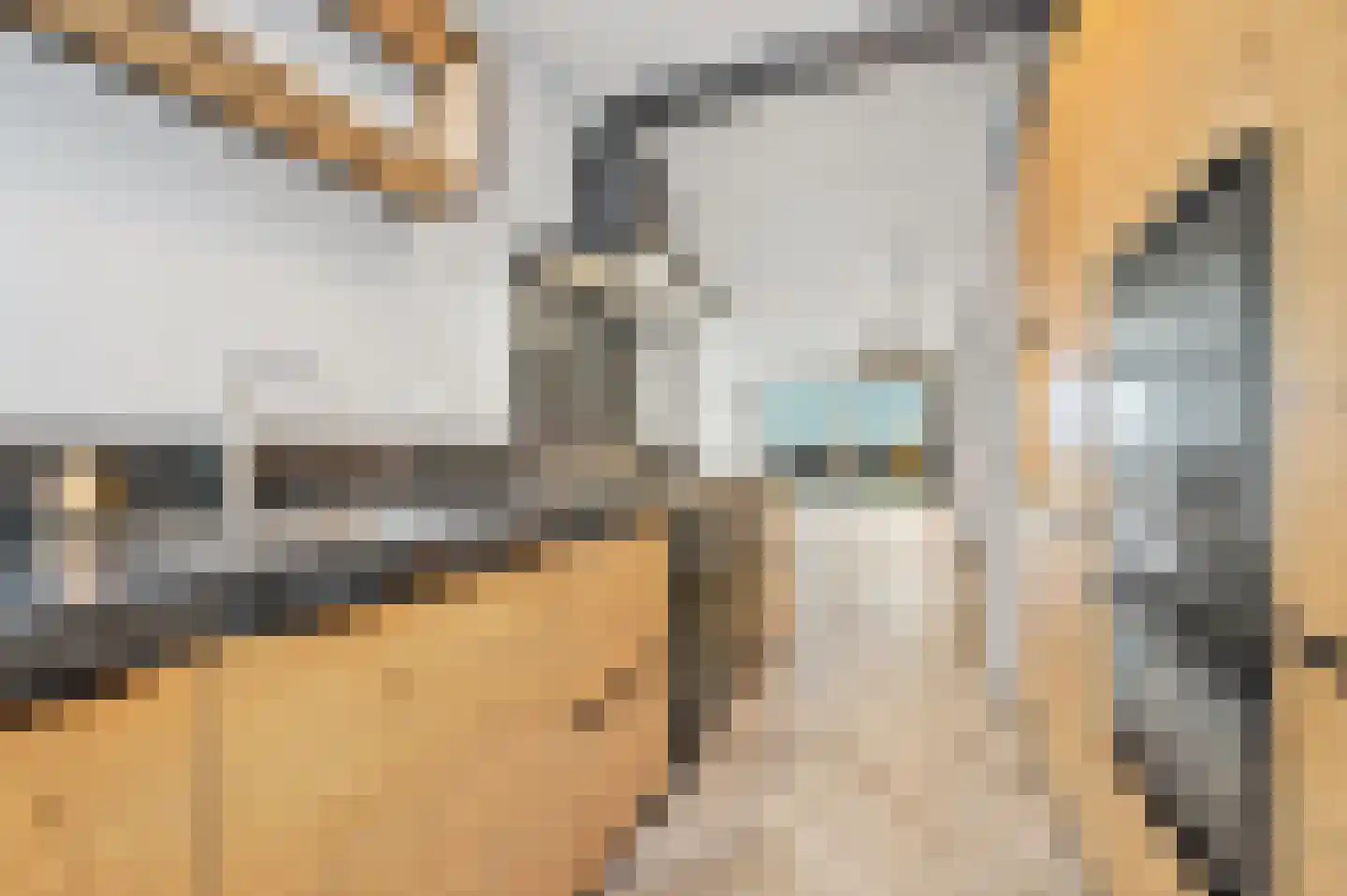 J. Boezerstraat 25 Den Haag thumbnail 19