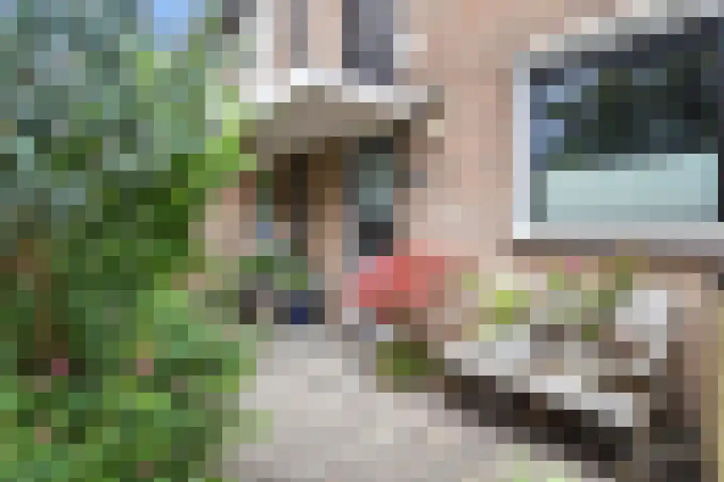 J. Boezerstraat 70 Den Haag thumbnail 36