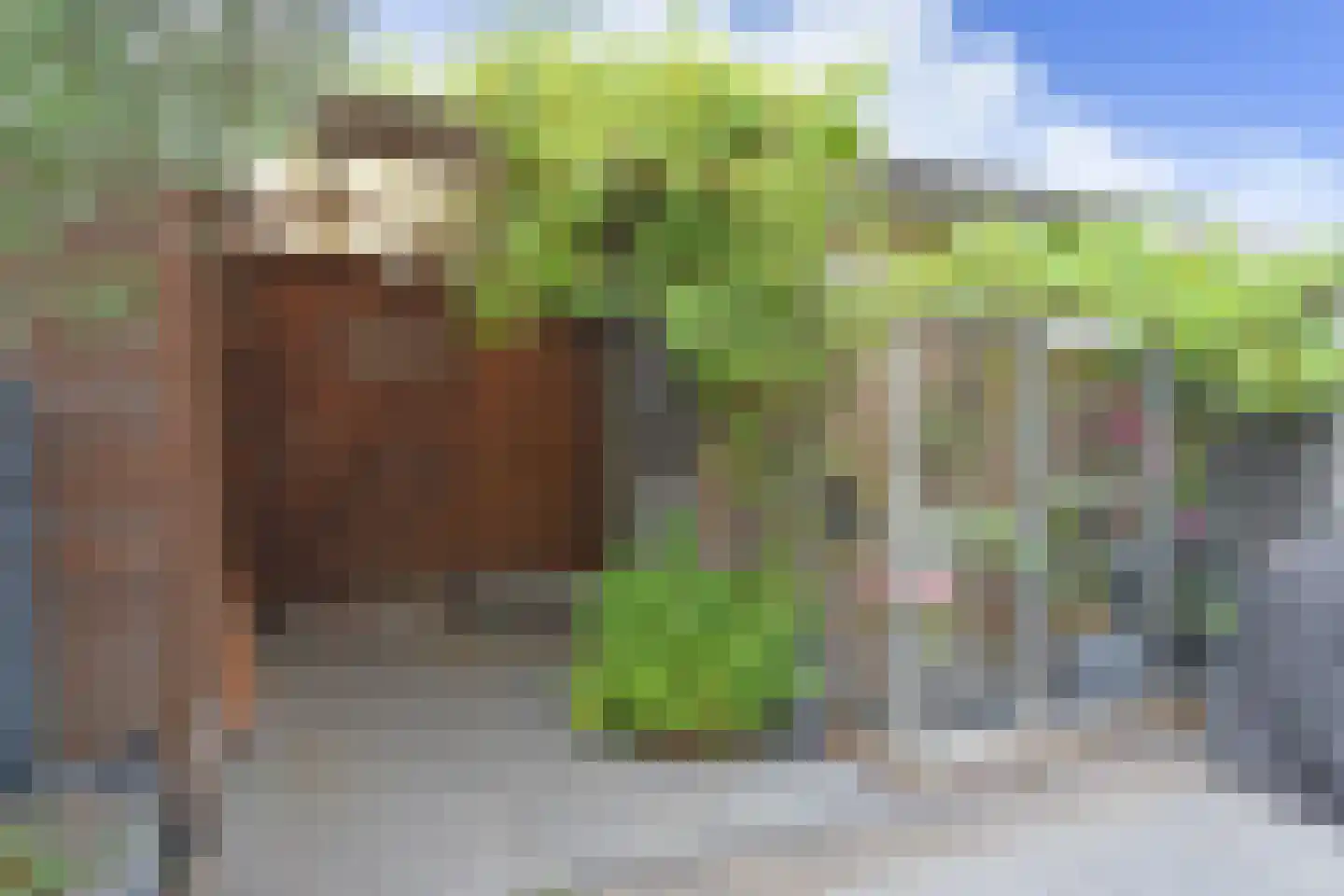 J. Boezerstraat 70 Den Haag thumbnail 7