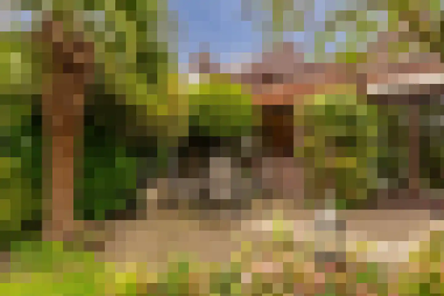 J. Bosboomlaan 5 Muiderberg thumbnail 15