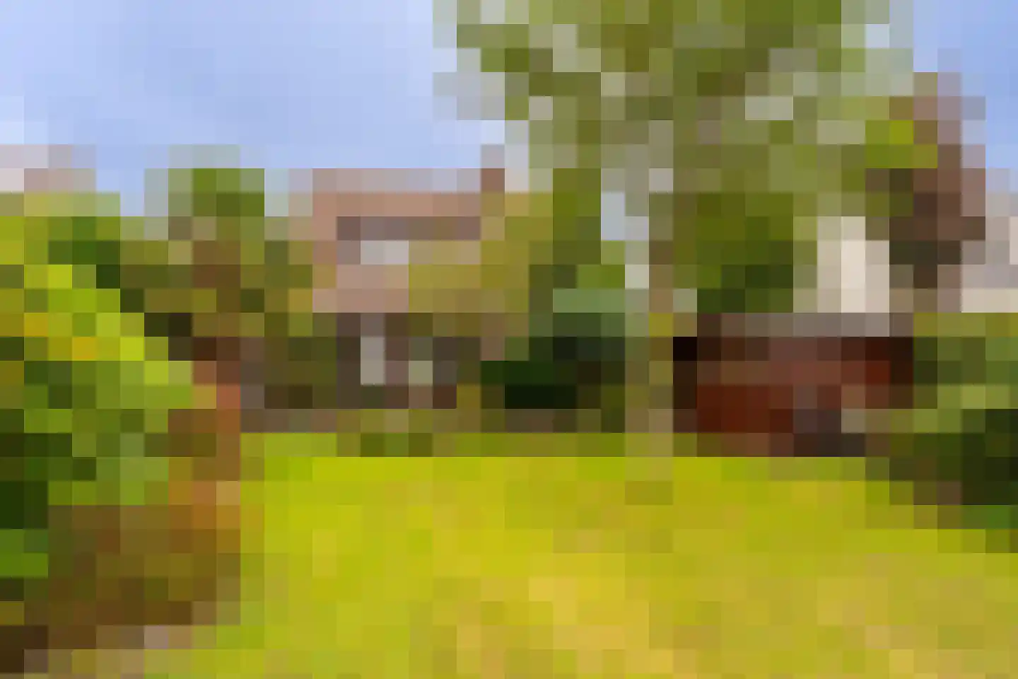 J. Bosboomlaan 5 Muiderberg thumbnail 17