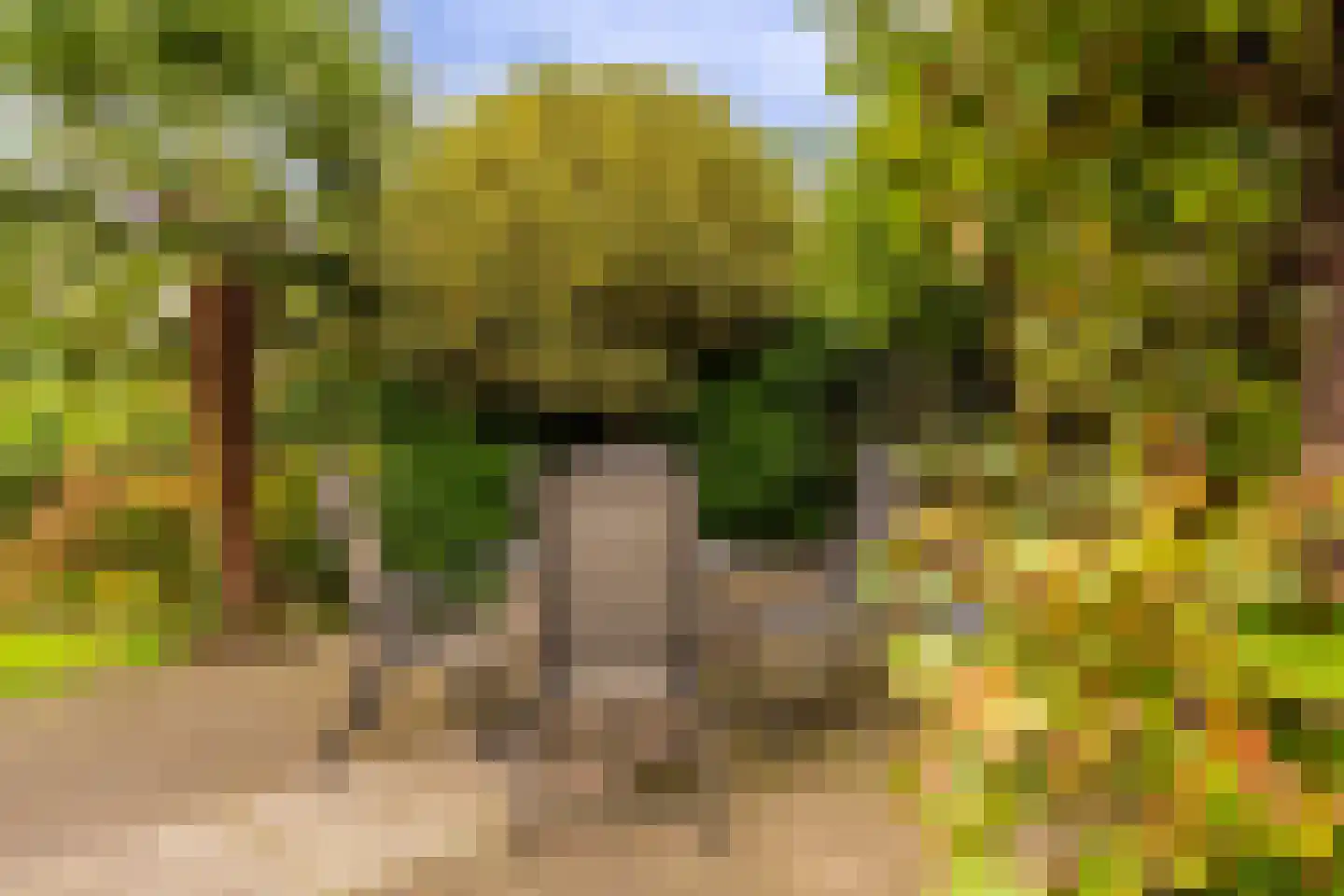 J. Bosboomlaan 5 Muiderberg thumbnail 18