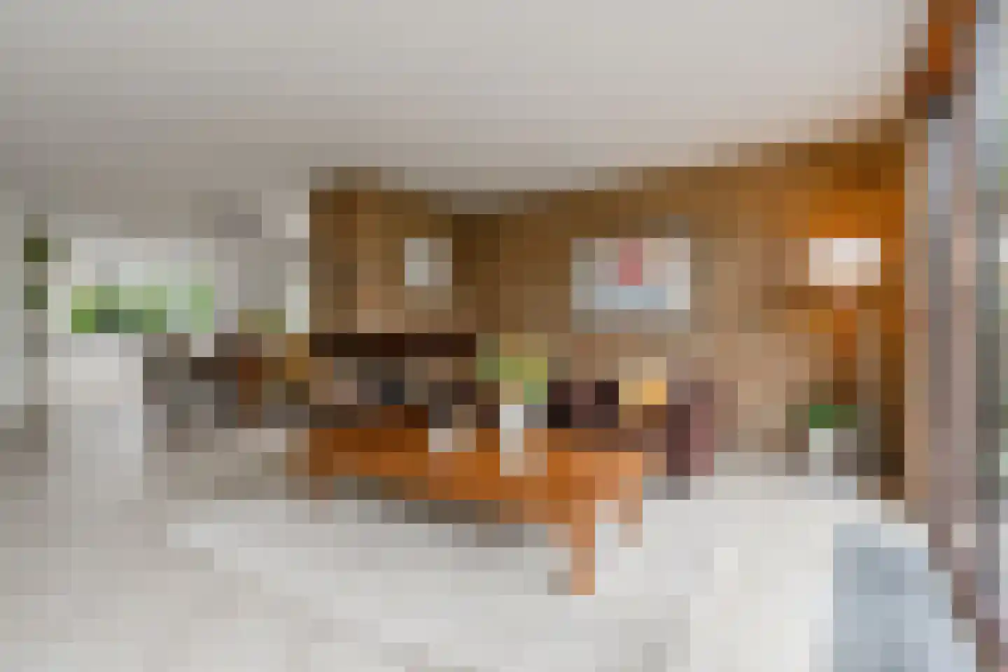 J. Bosboomlaan 5 Muiderberg thumbnail 19