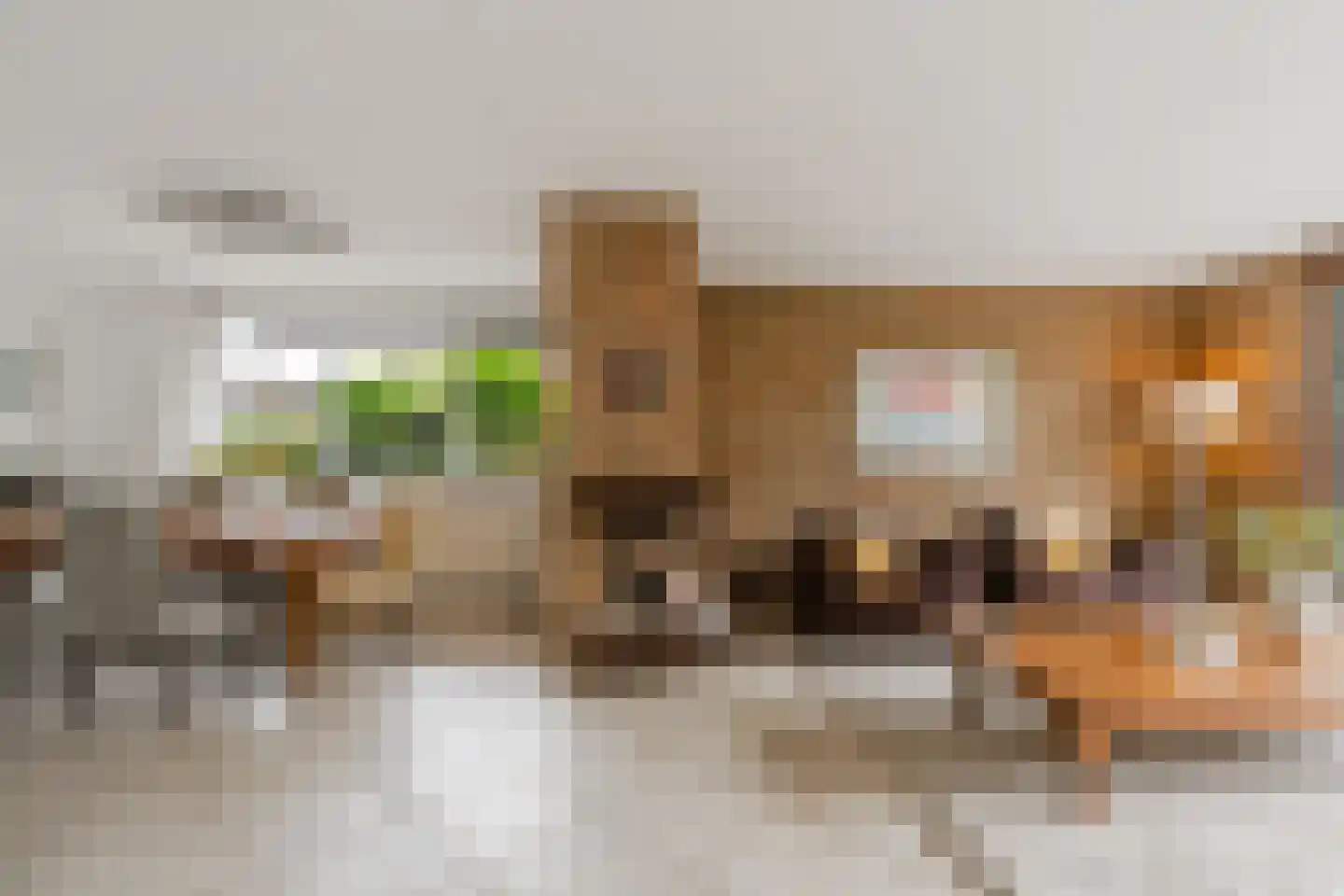 J. Bosboomlaan 5 Muiderberg thumbnail 20