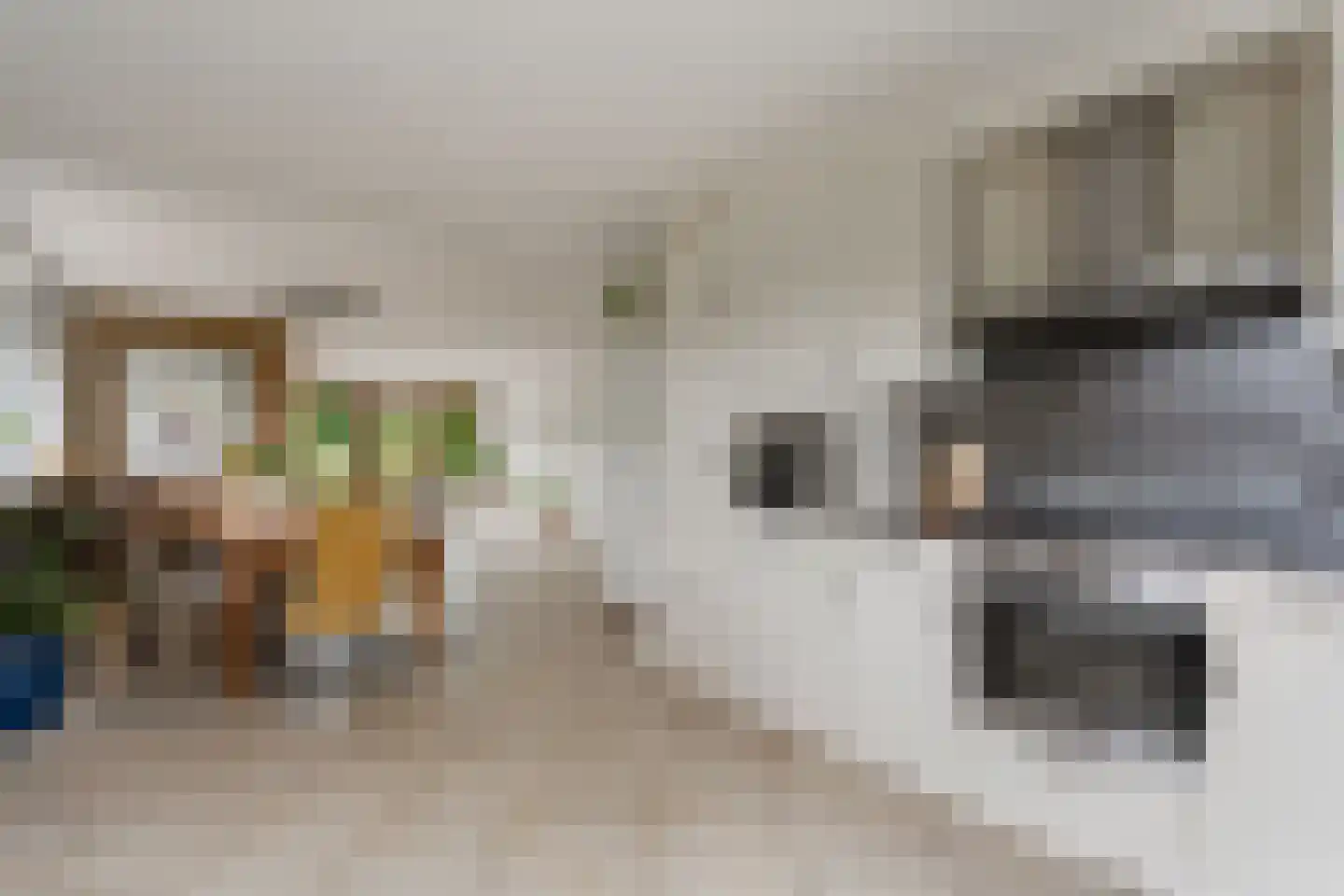 J. Bosboomlaan 5 Muiderberg thumbnail 26