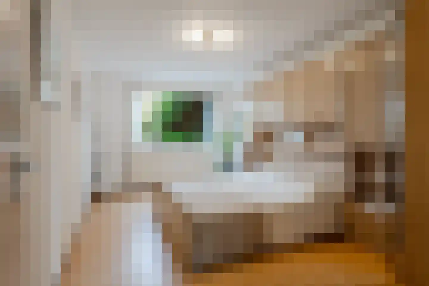 J. Bosboomlaan 5 Muiderberg thumbnail 28