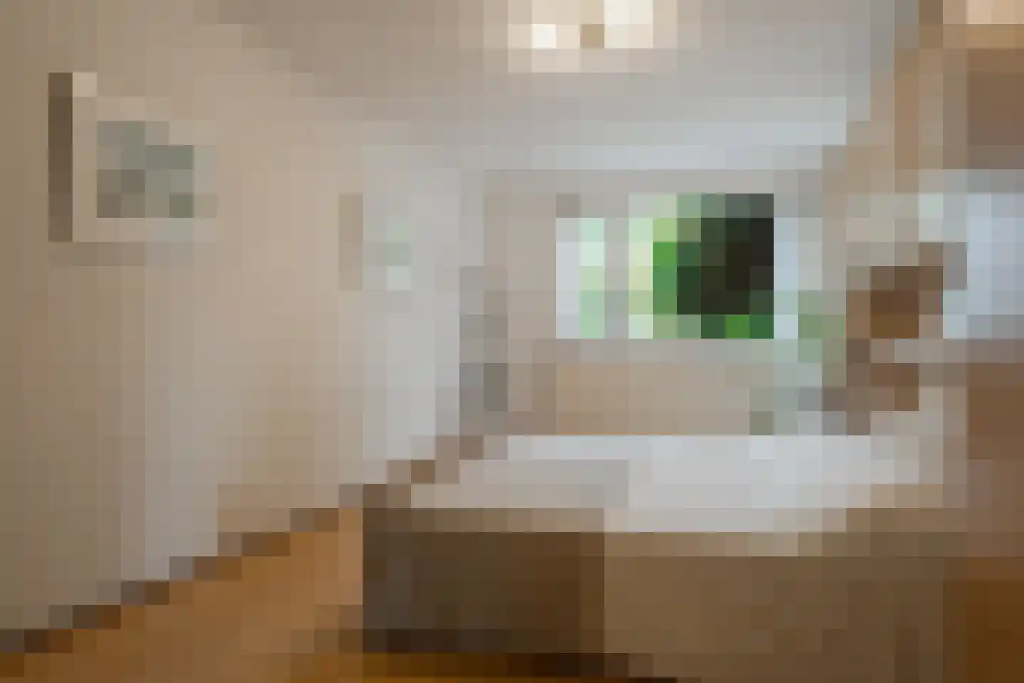 J. Bosboomlaan 5 Muiderberg thumbnail 29