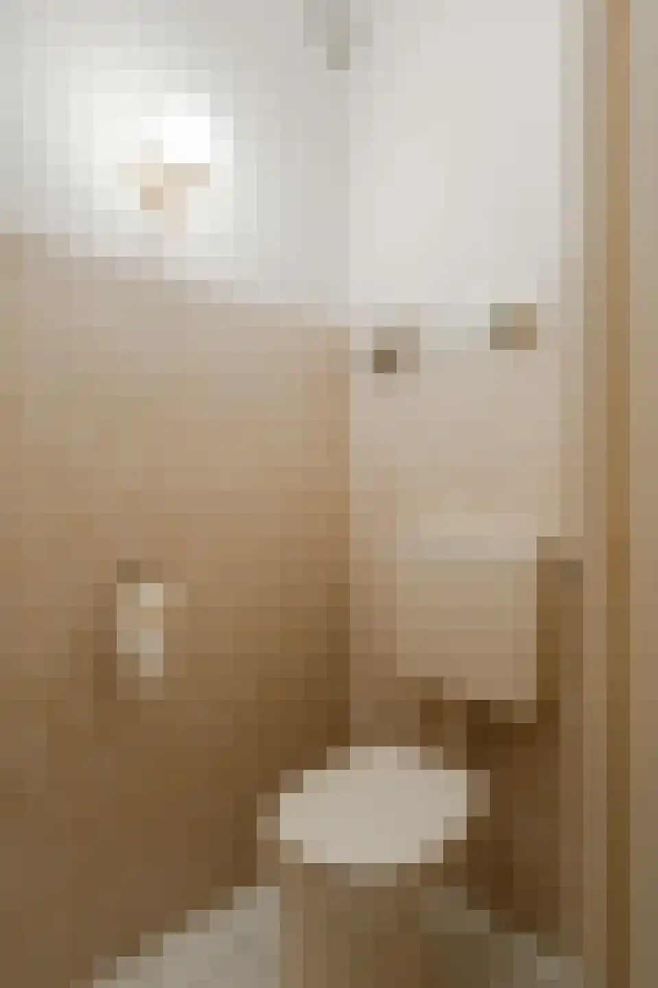 J. Bosboomlaan 5 Muiderberg thumbnail 35