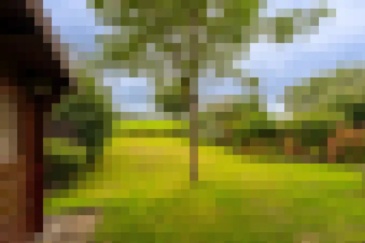 J. Bosboomlaan 5 Muiderberg thumbnail 4