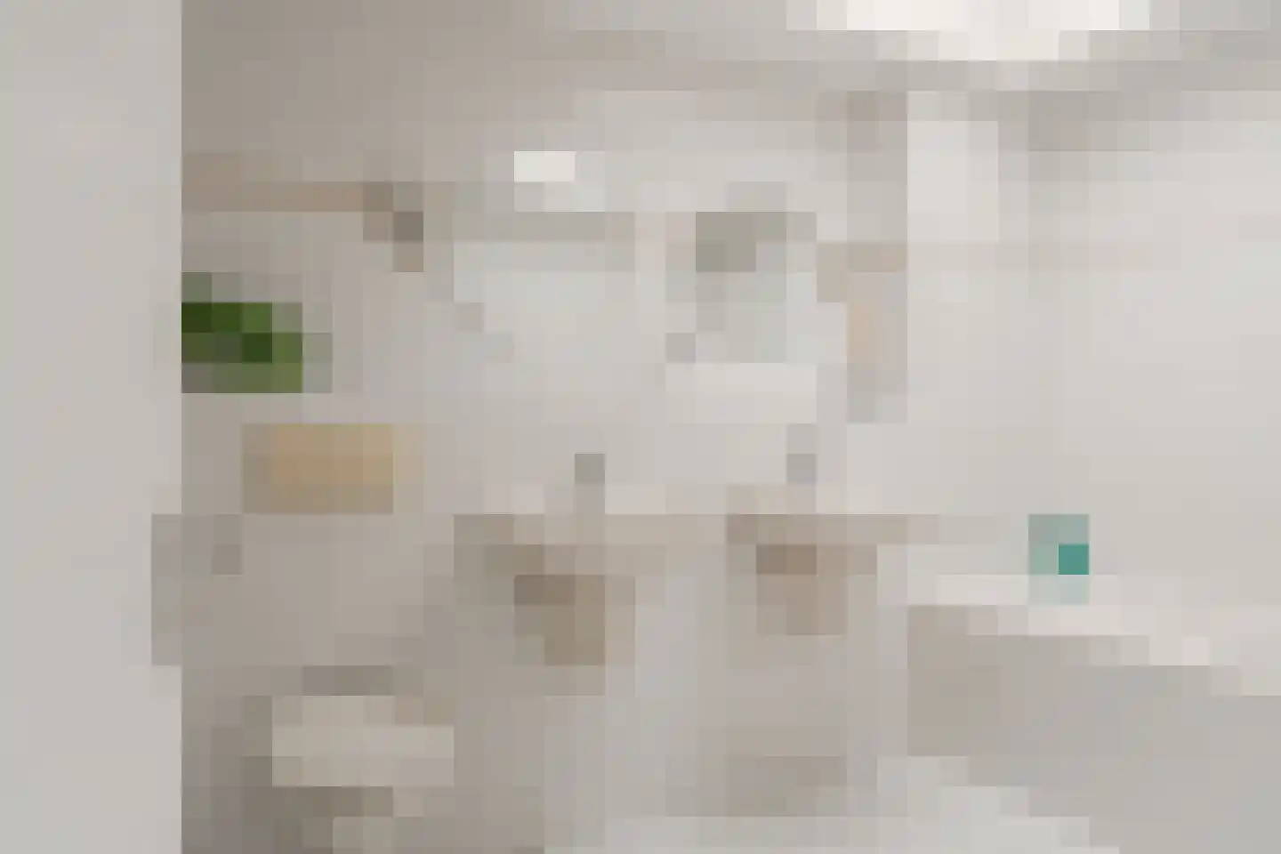 J. Bosboomlaan 5 Muiderberg thumbnail 45