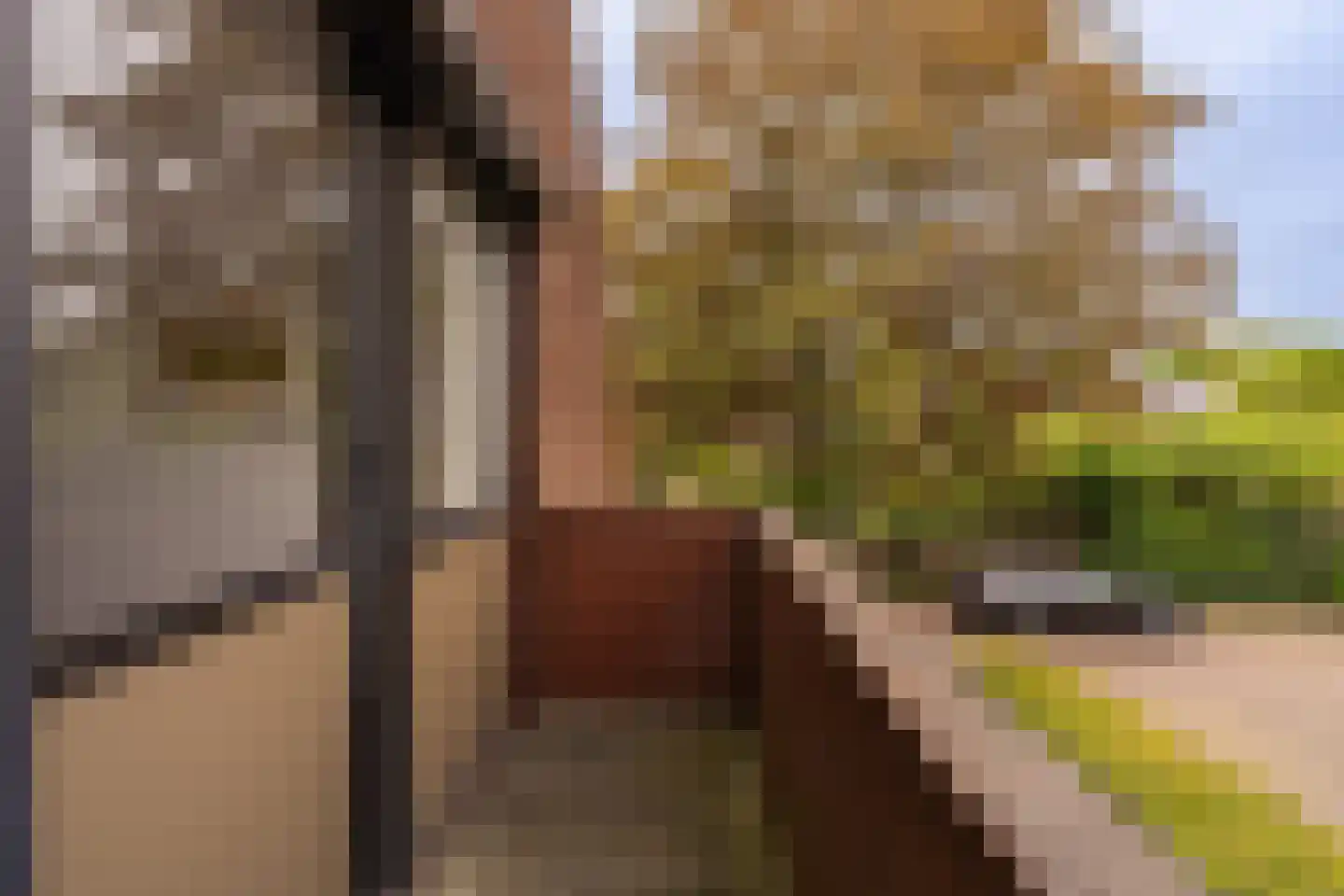 J. Bosboomlaan 5 Muiderberg thumbnail 50