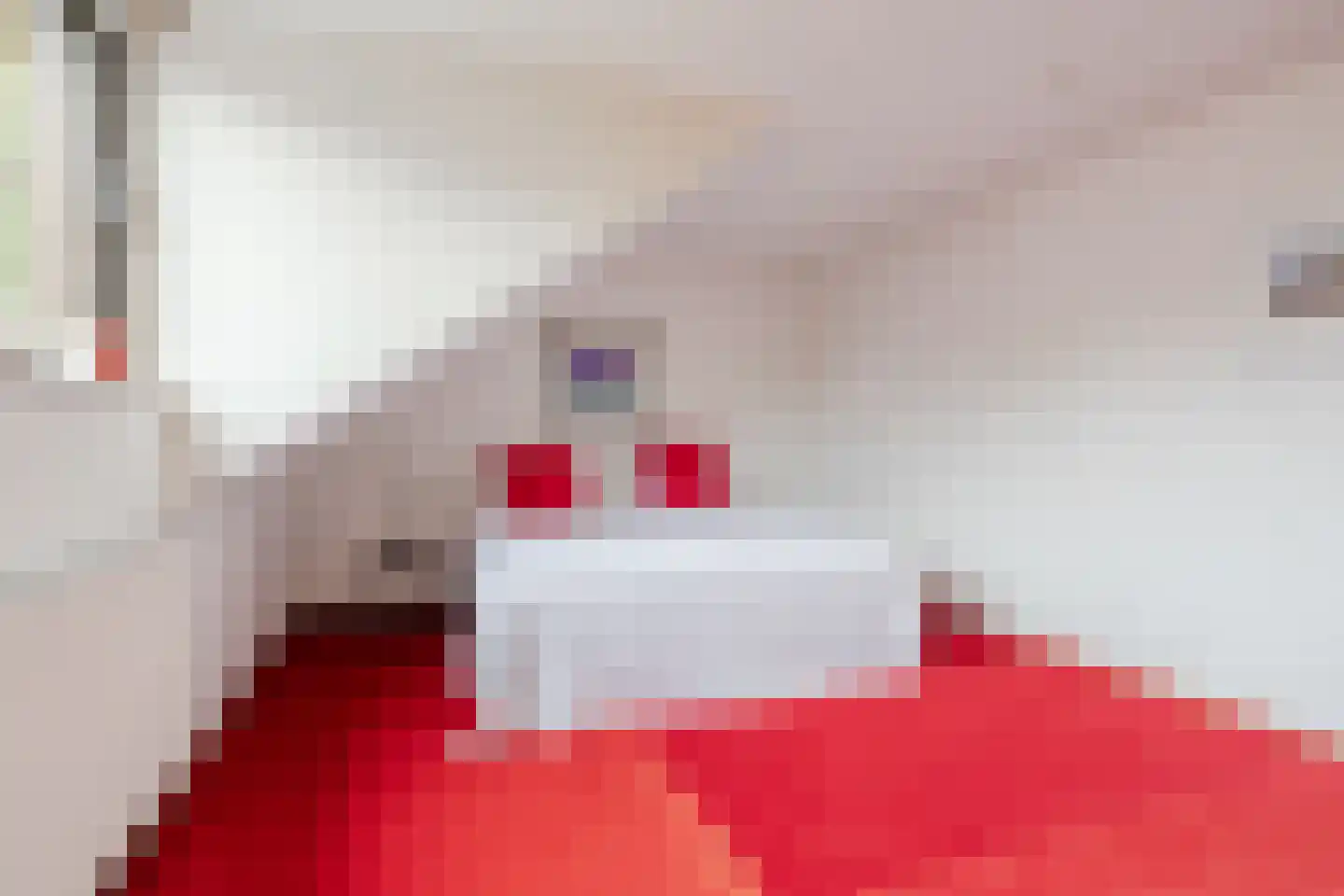 J. Bosboomlaan 5 Muiderberg thumbnail 54