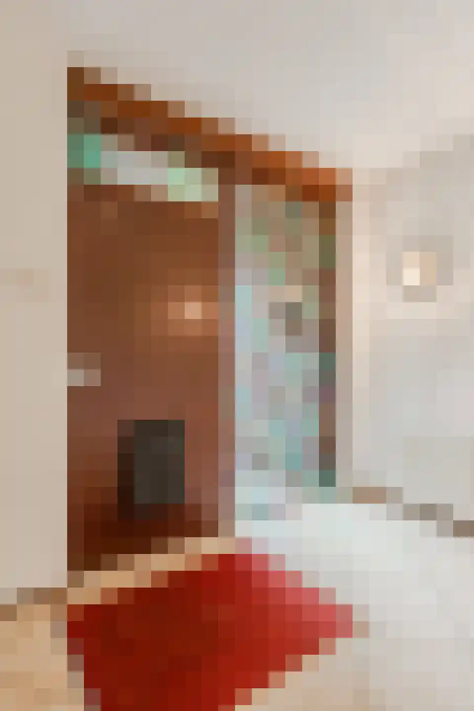 J. Bosboomlaan 5 Muiderberg thumbnail 60