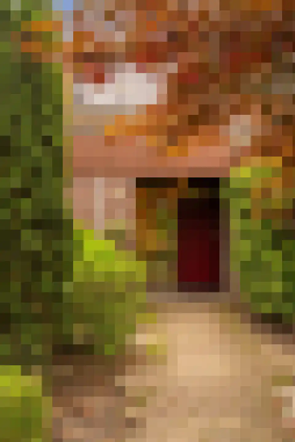 J. Bosboomlaan 5 Muiderberg thumbnail 61