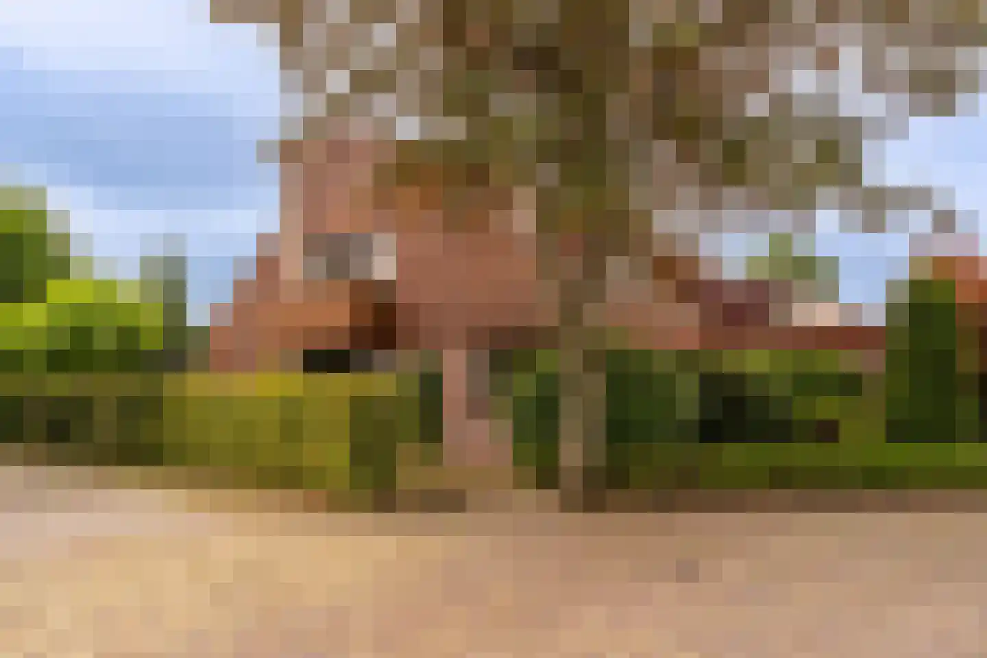 J. Bosboomlaan 5 Muiderberg thumbnail 62
