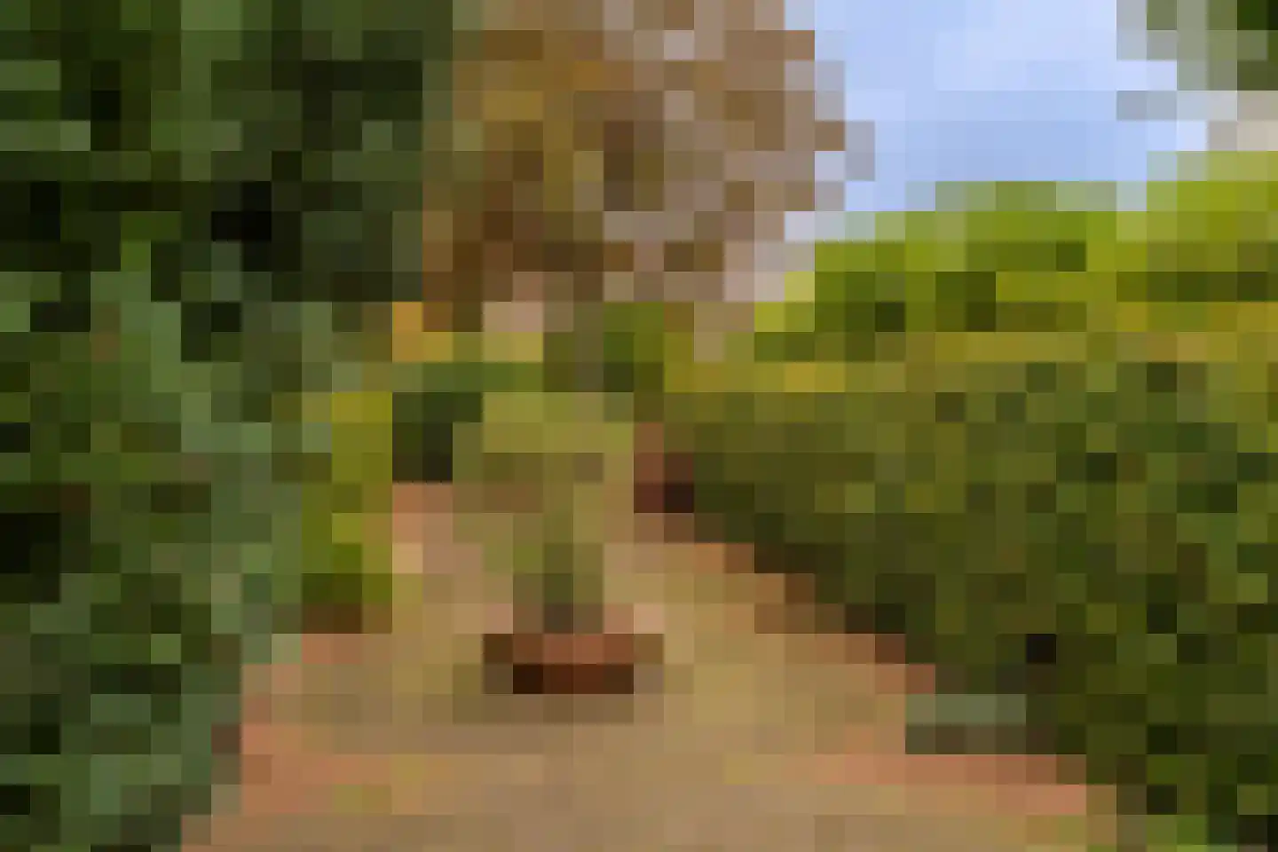J. Bosboomlaan 5 Muiderberg thumbnail 64