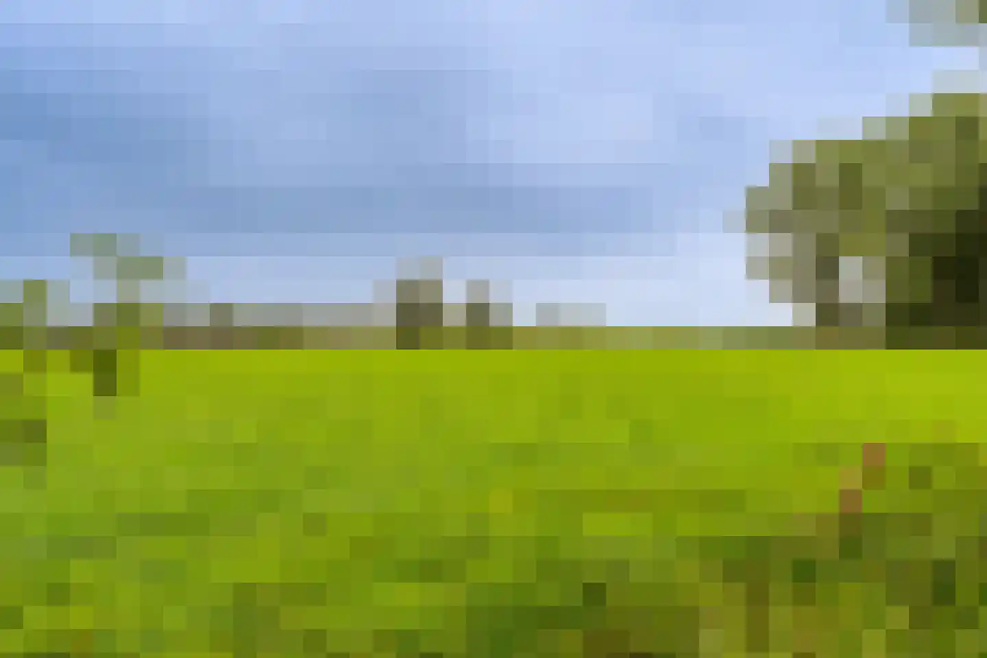 J. Bosboomlaan 5 Muiderberg thumbnail 67