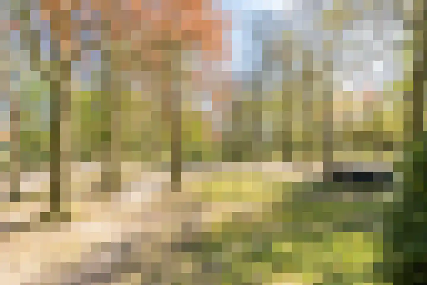 J. Bosboomlaan 5 Muiderberg thumbnail 81