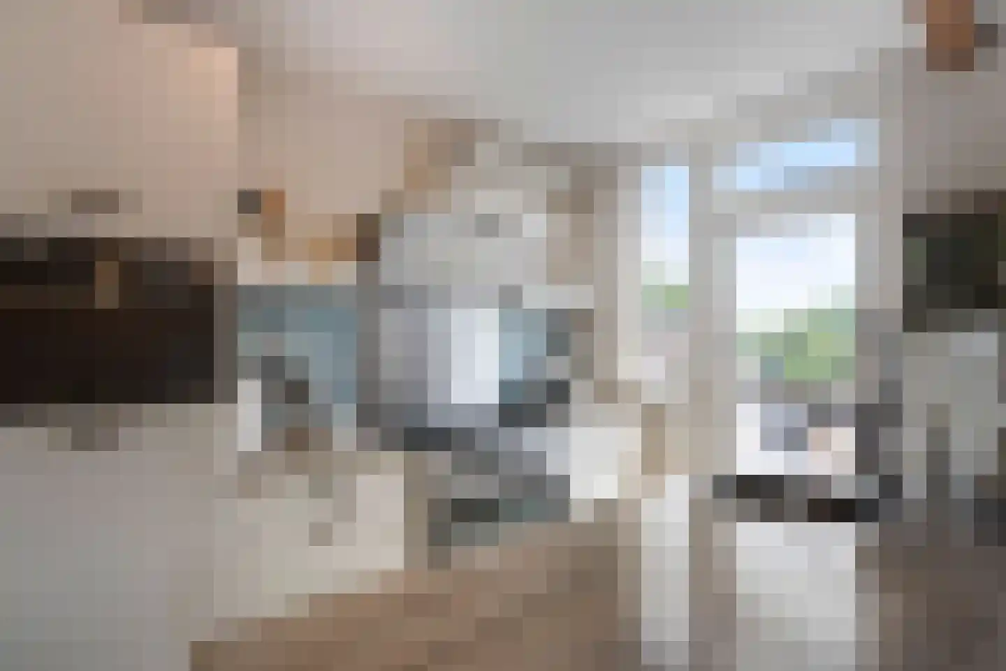 J. Bosmanstraat 19 Den Haag thumbnail 21