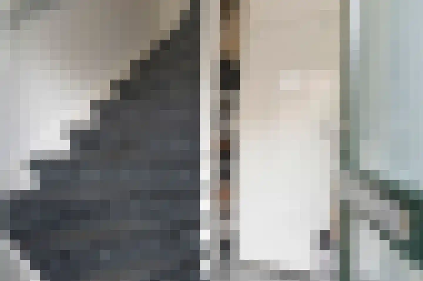 J. Bosmanstraat 19 Den Haag thumbnail 7