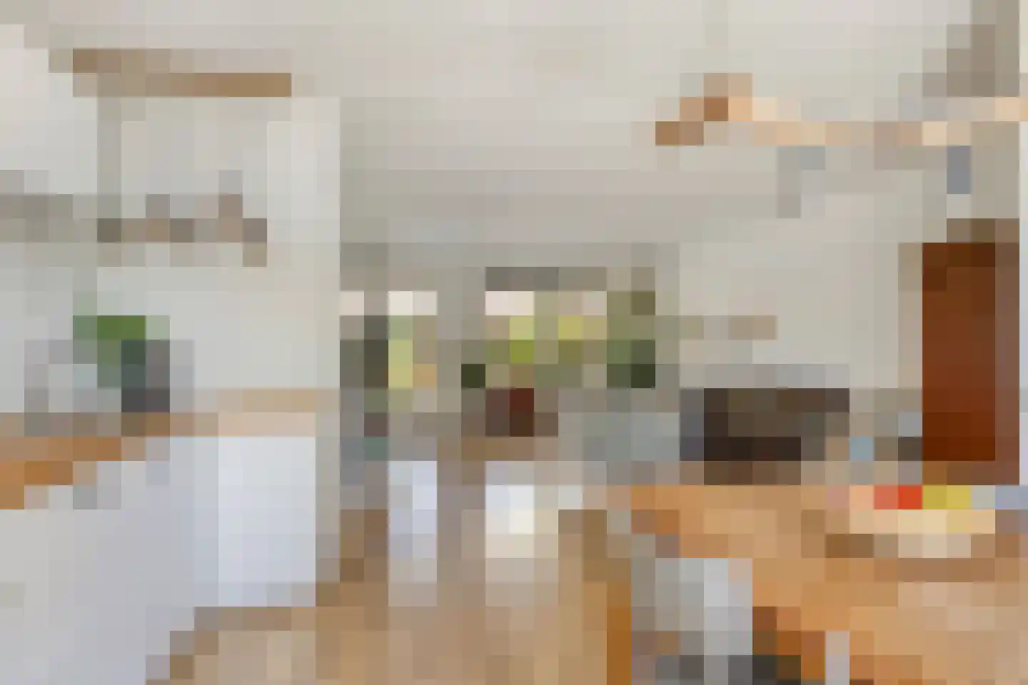 J. Bosschaartstraat 5 Beusichem thumbnail 13