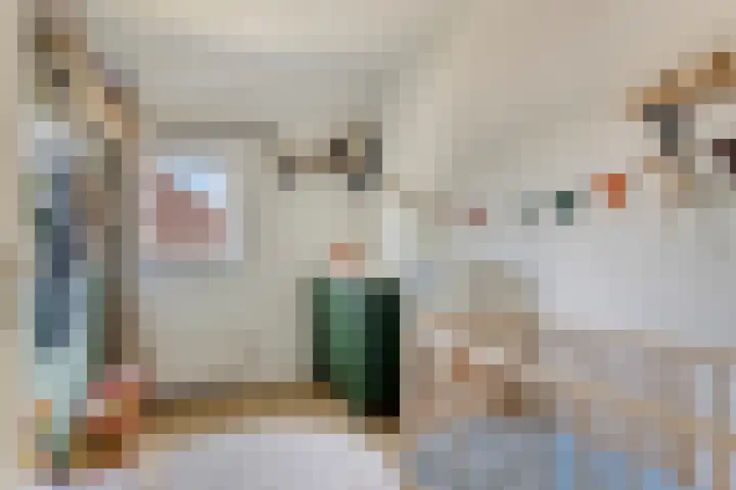 J. Bosschaartstraat 5 Beusichem thumbnail 21