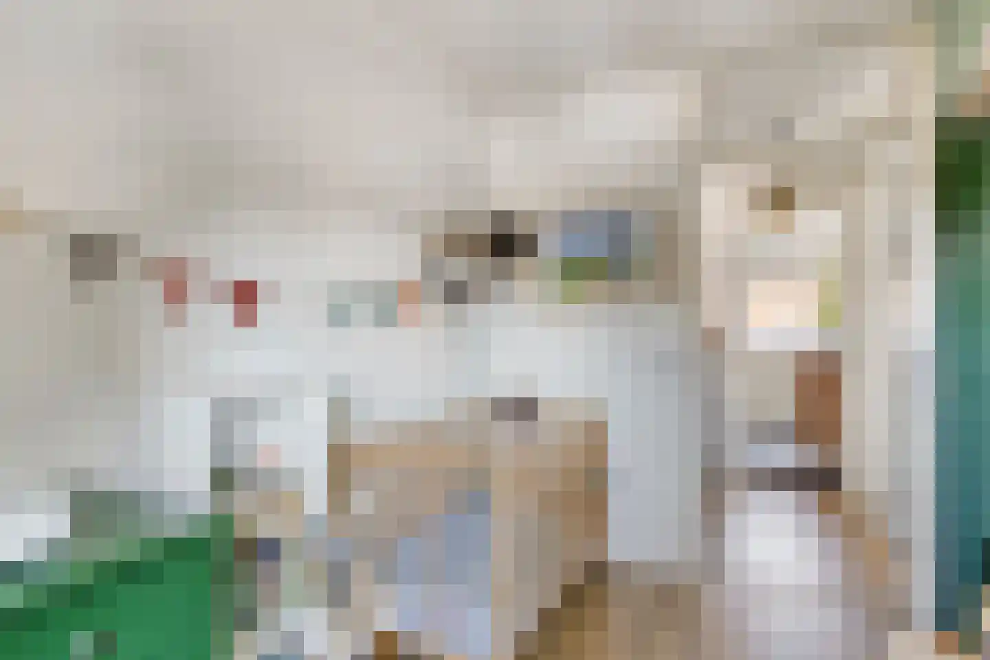 J. Bosschaartstraat 5 Beusichem thumbnail 22