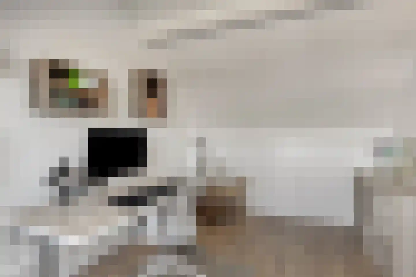 J. Bosschaartstraat 5 Beusichem thumbnail 31