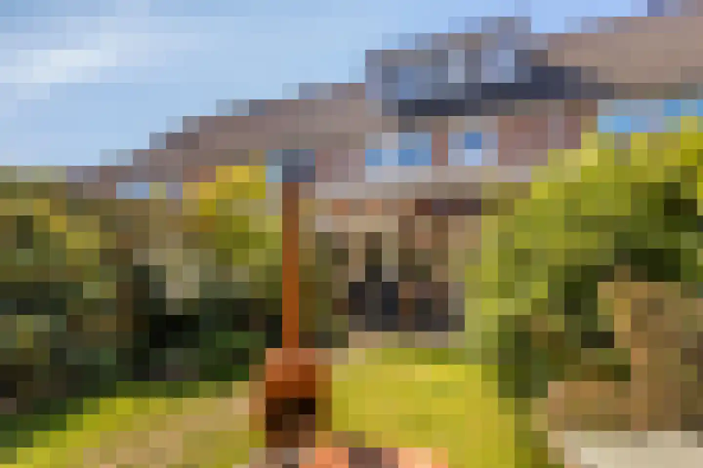 J. Bosschaartstraat 5 Beusichem thumbnail 36
