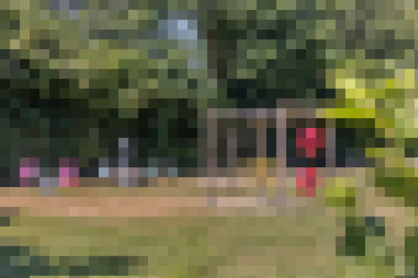 J. Bosschaartstraat 5 Beusichem thumbnail 43