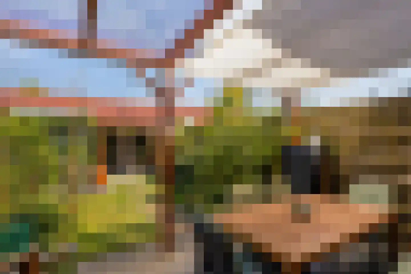 J. Bosschaartstraat 5 Beusichem thumbnail 5