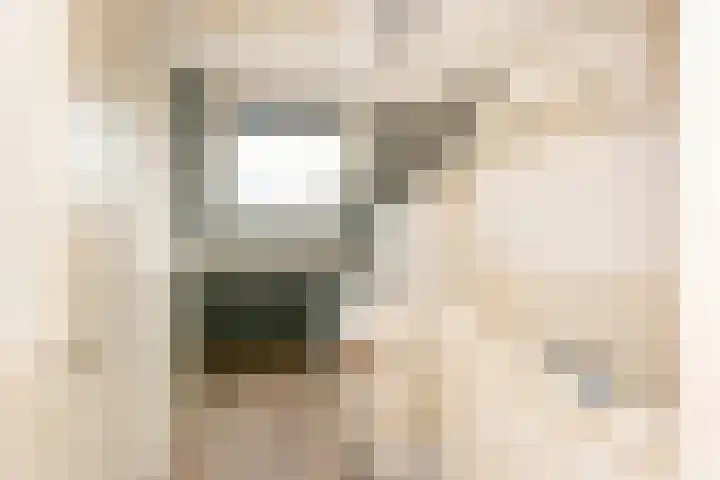 J. Bosschaartstraat 6 Beusichem thumbnail 25