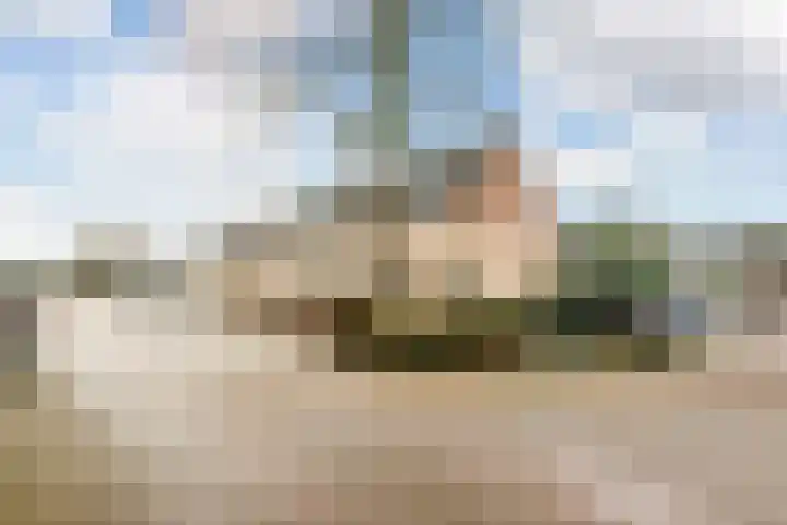 J. Bosschaartstraat 6 Beusichem thumbnail 34
