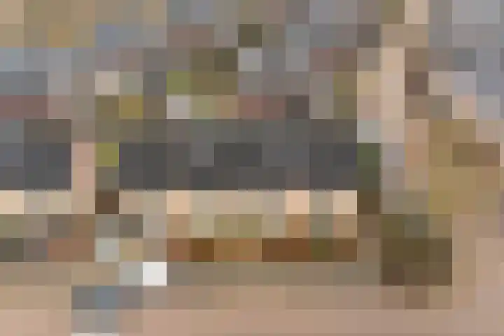 J. Bosschaartstraat 6 Beusichem thumbnail 35