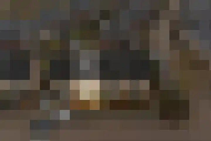 J. Bosschaartstraat 6 Beusichem thumbnail 36