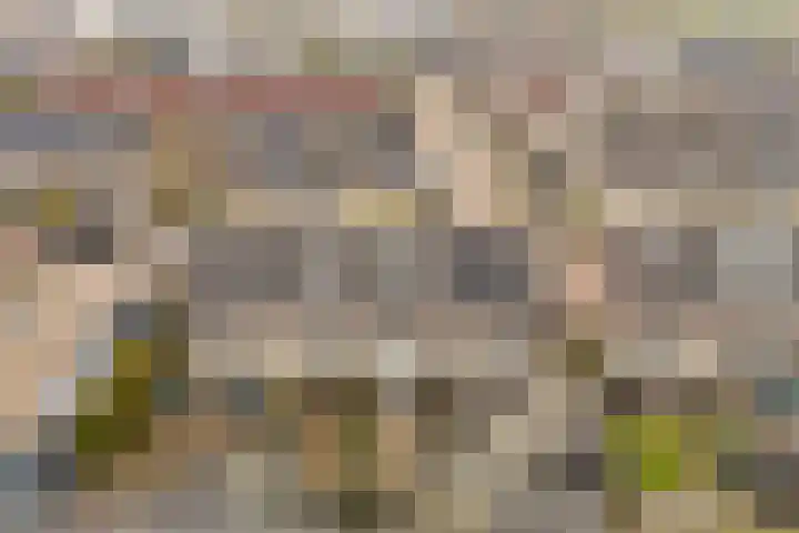 J. Bosschaartstraat 6 Beusichem thumbnail 37