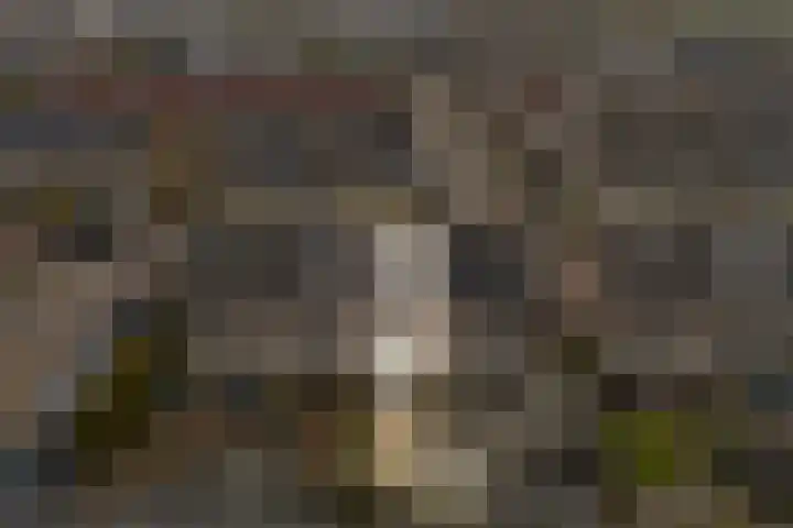 J. Bosschaartstraat 6 Beusichem thumbnail 38
