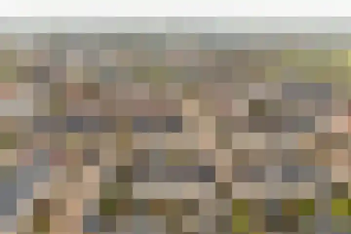 J. Bosschaartstraat 6 Beusichem thumbnail 39