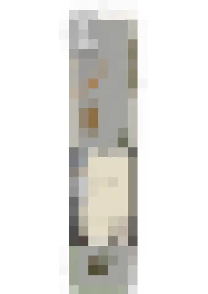 J. Bosschaartstraat 6 Beusichem thumbnail 47