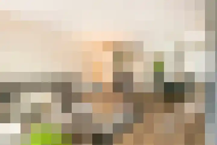 J. Bosschaartstraat 6 Beusichem thumbnail 6