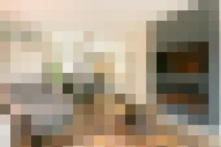 J. Bosschaartstraat 6 Beusichem thumbnail 7