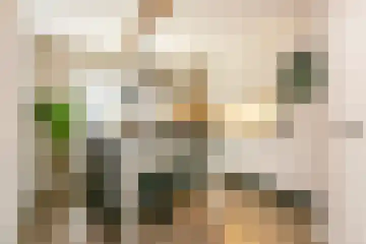 J. Bosschaartstraat 6 Beusichem thumbnail 8