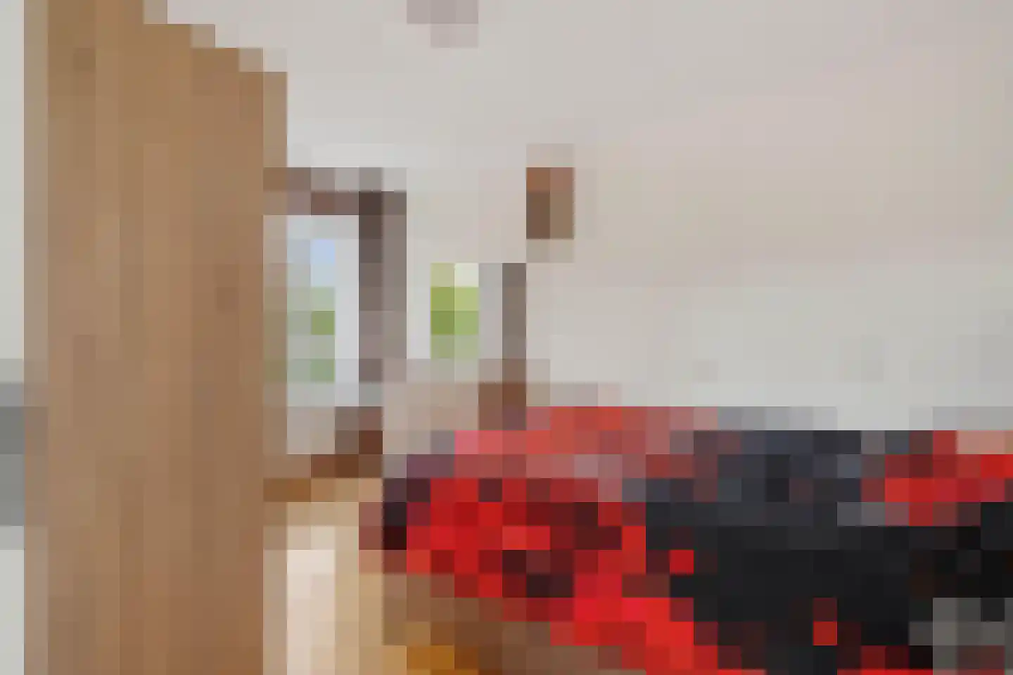 J. Breebaardstraat 2 Zaandam thumbnail 32