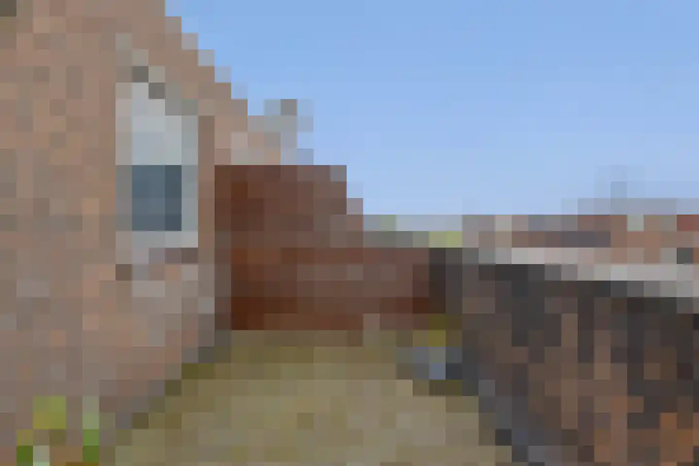 J. Breebaardstraat 2 Zaandam thumbnail 41