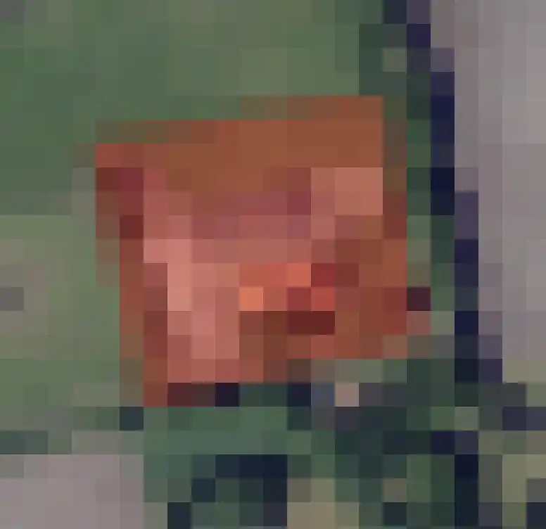 J. Buiskoolweg 16 Vriescheloo thumbnail 31