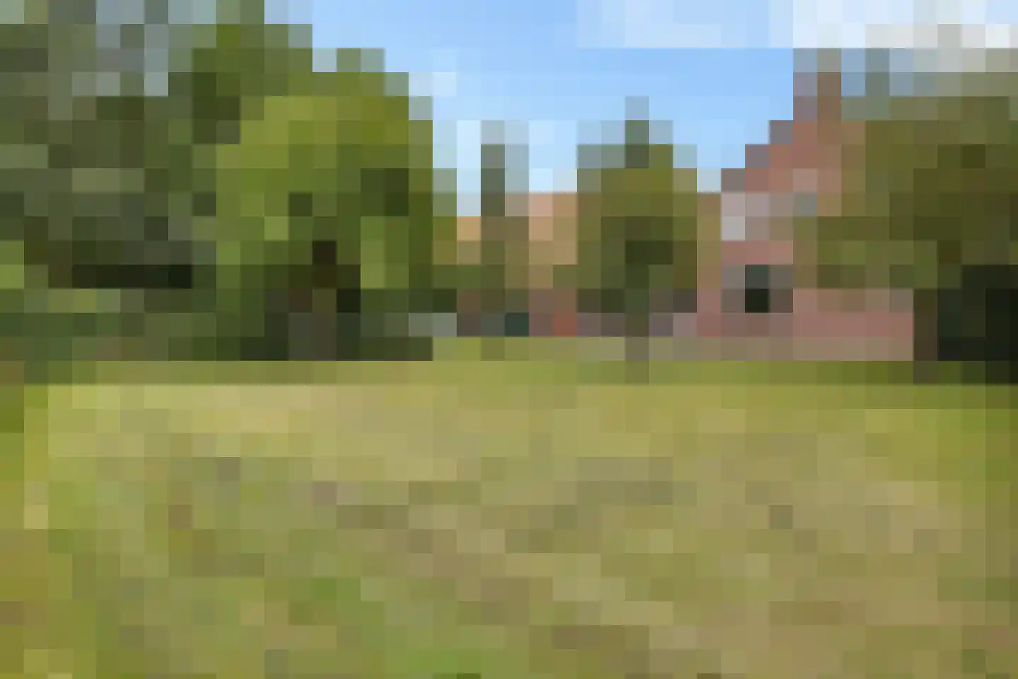 J. Buiskoolweg 16 Vriescheloo thumbnail 5