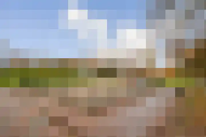 J.C. Beetslaan 88 Hoofddorp thumbnail 28