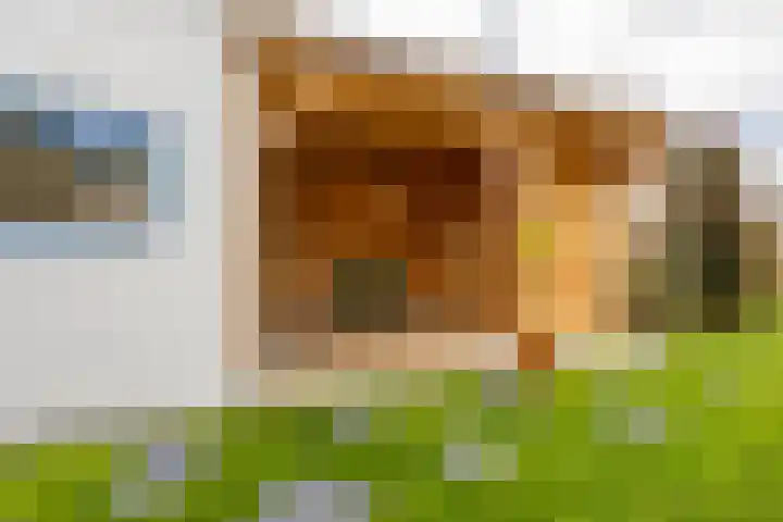 J.C. Beetslaan 90 Hoofddorp thumbnail 23