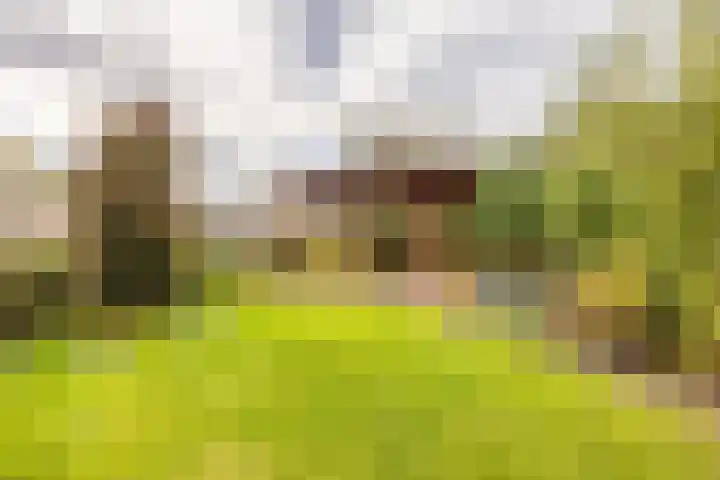 J.C. Beetslaan 90 Hoofddorp thumbnail 26